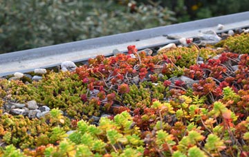 the cost of Buaile Dhubh green roof installation
