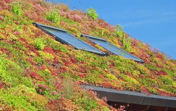 Buaile Dhubh living roof systems