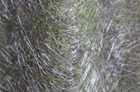 Buaile Dhubh fibreglass roof work